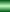 Osuus 19.7 %
